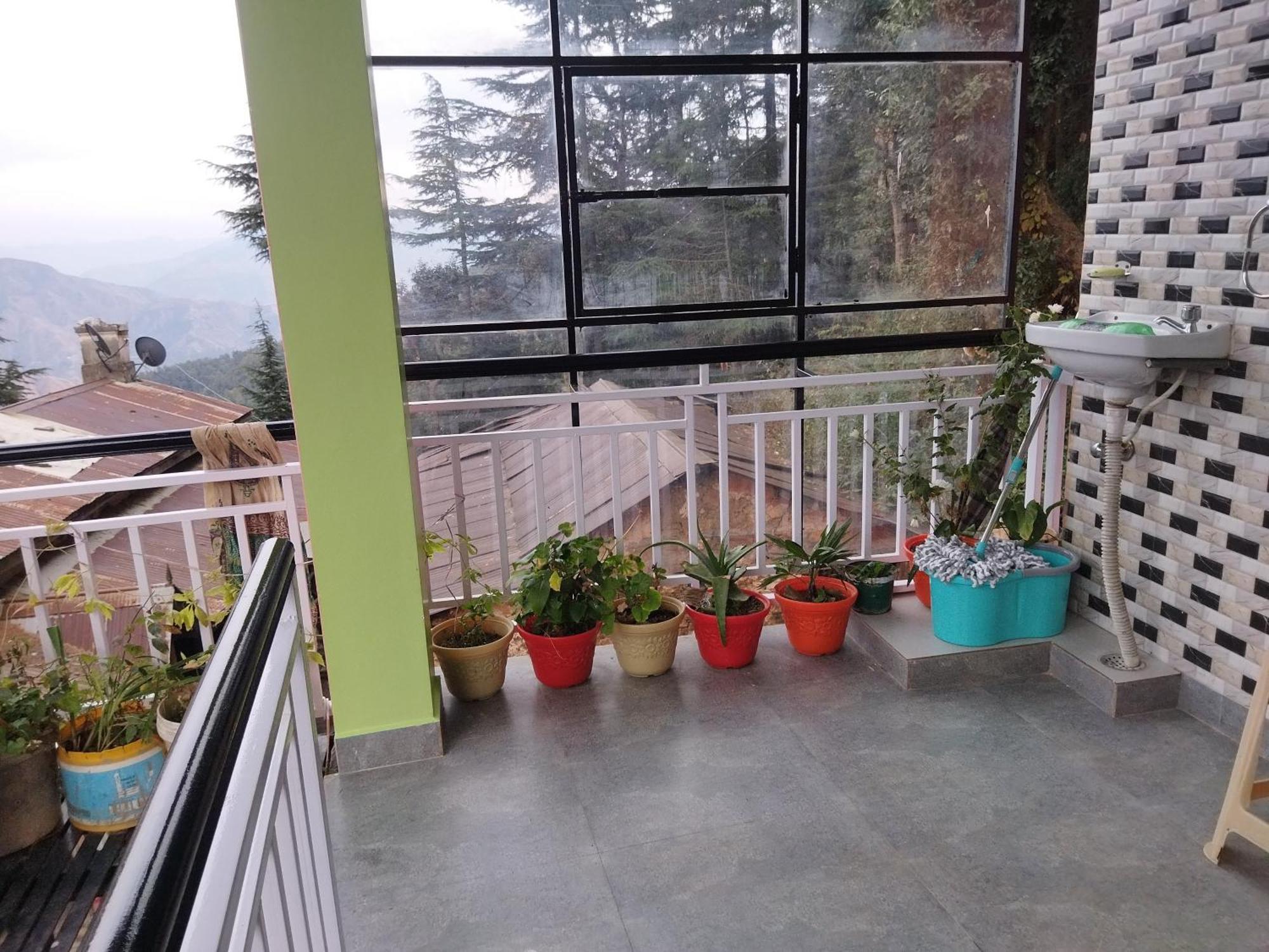 Tree Valley Homestay Chail Luaran gambar