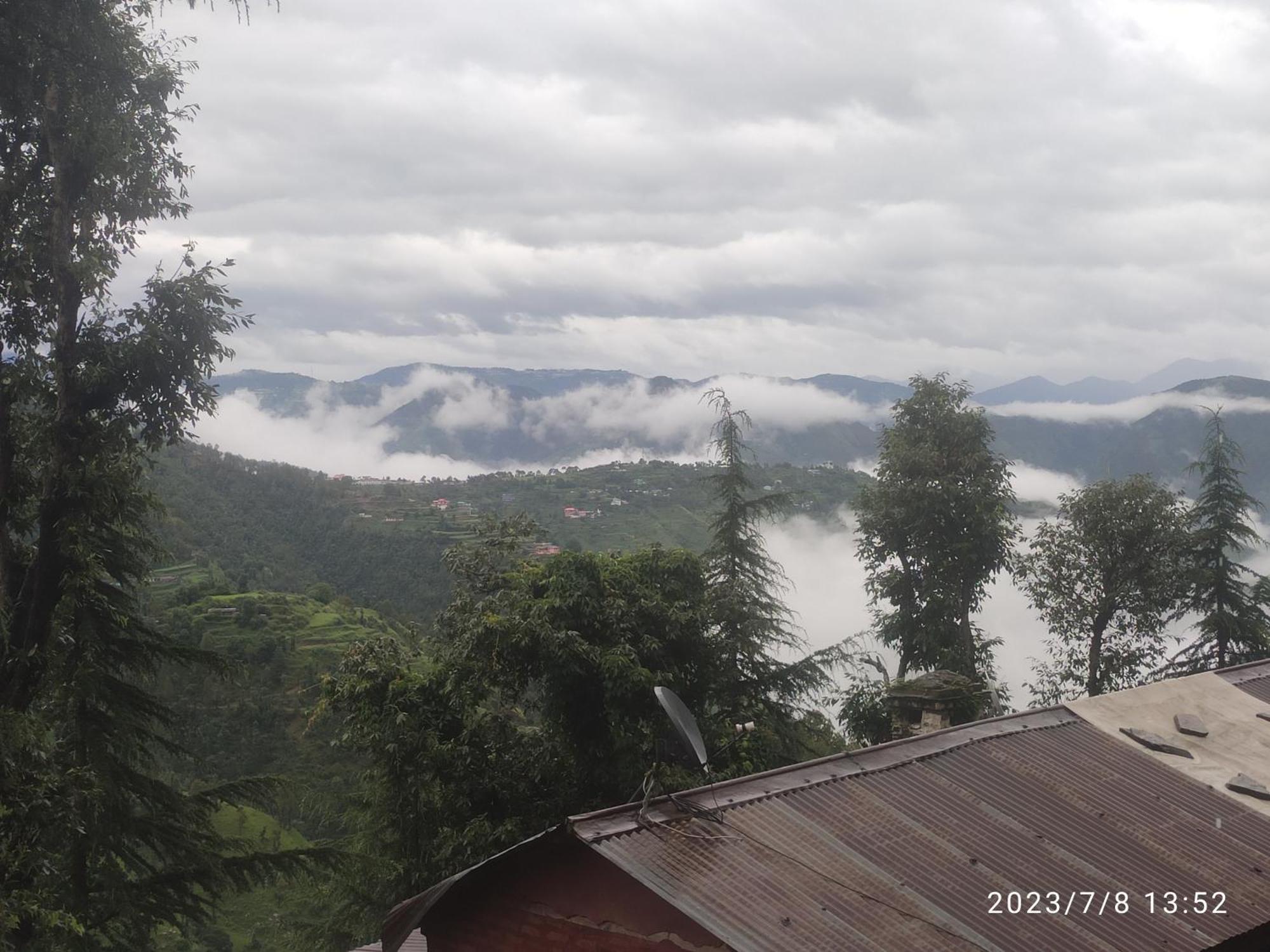 Tree Valley Homestay Chail Luaran gambar