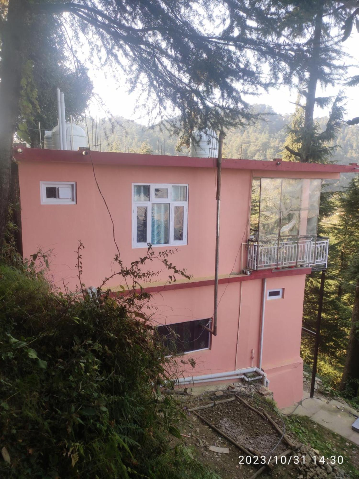 Tree Valley Homestay Chail Luaran gambar