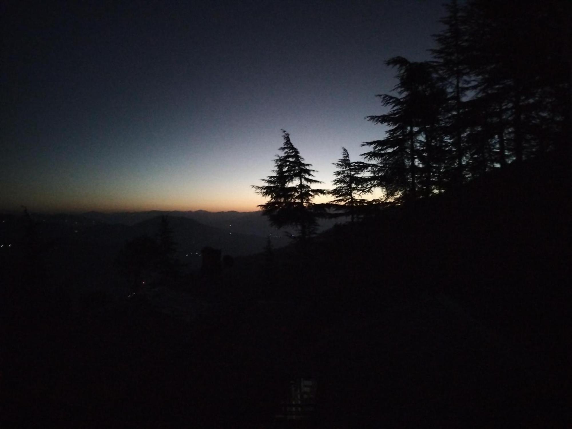 Tree Valley Homestay Chail Luaran gambar