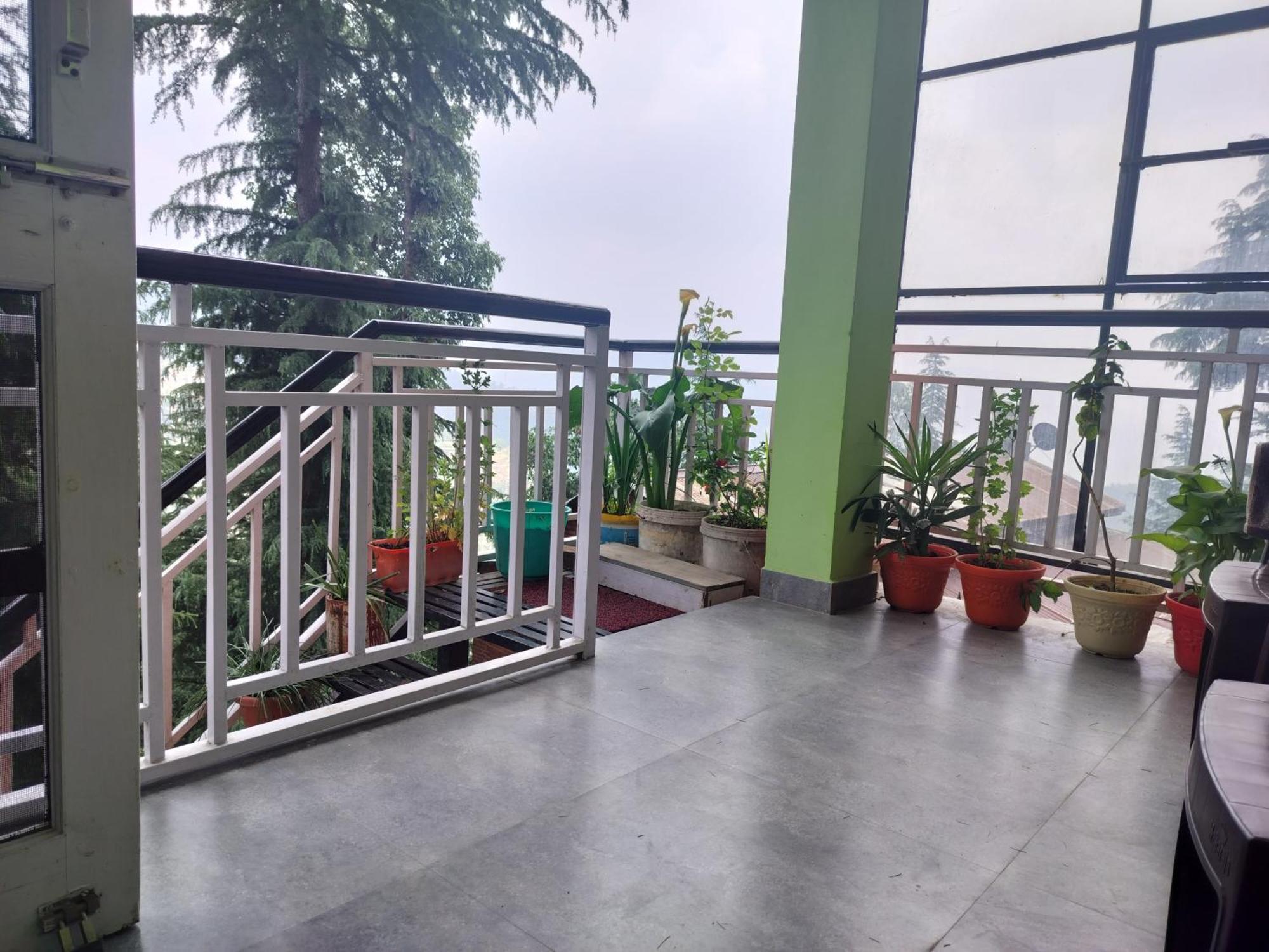 Tree Valley Homestay Chail Luaran gambar
