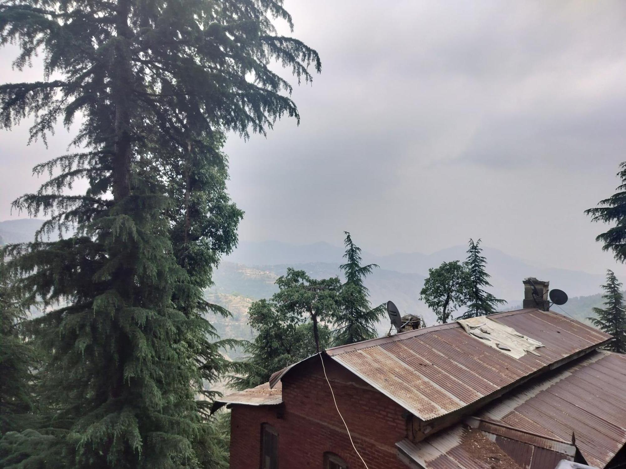 Tree Valley Homestay Chail Luaran gambar