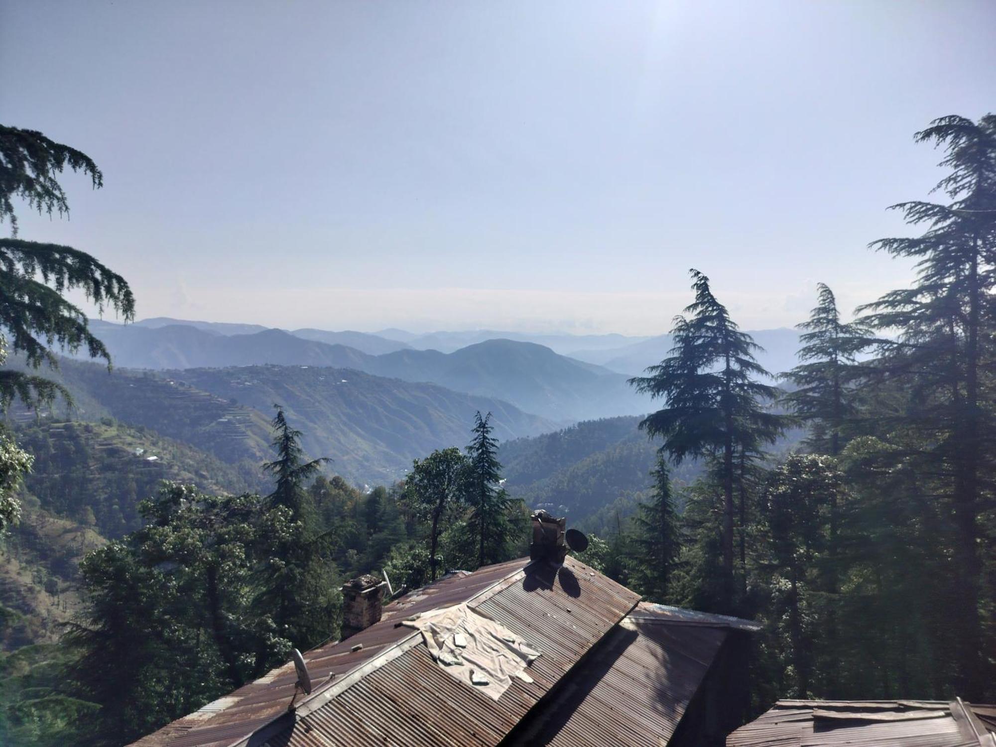 Tree Valley Homestay Chail Luaran gambar