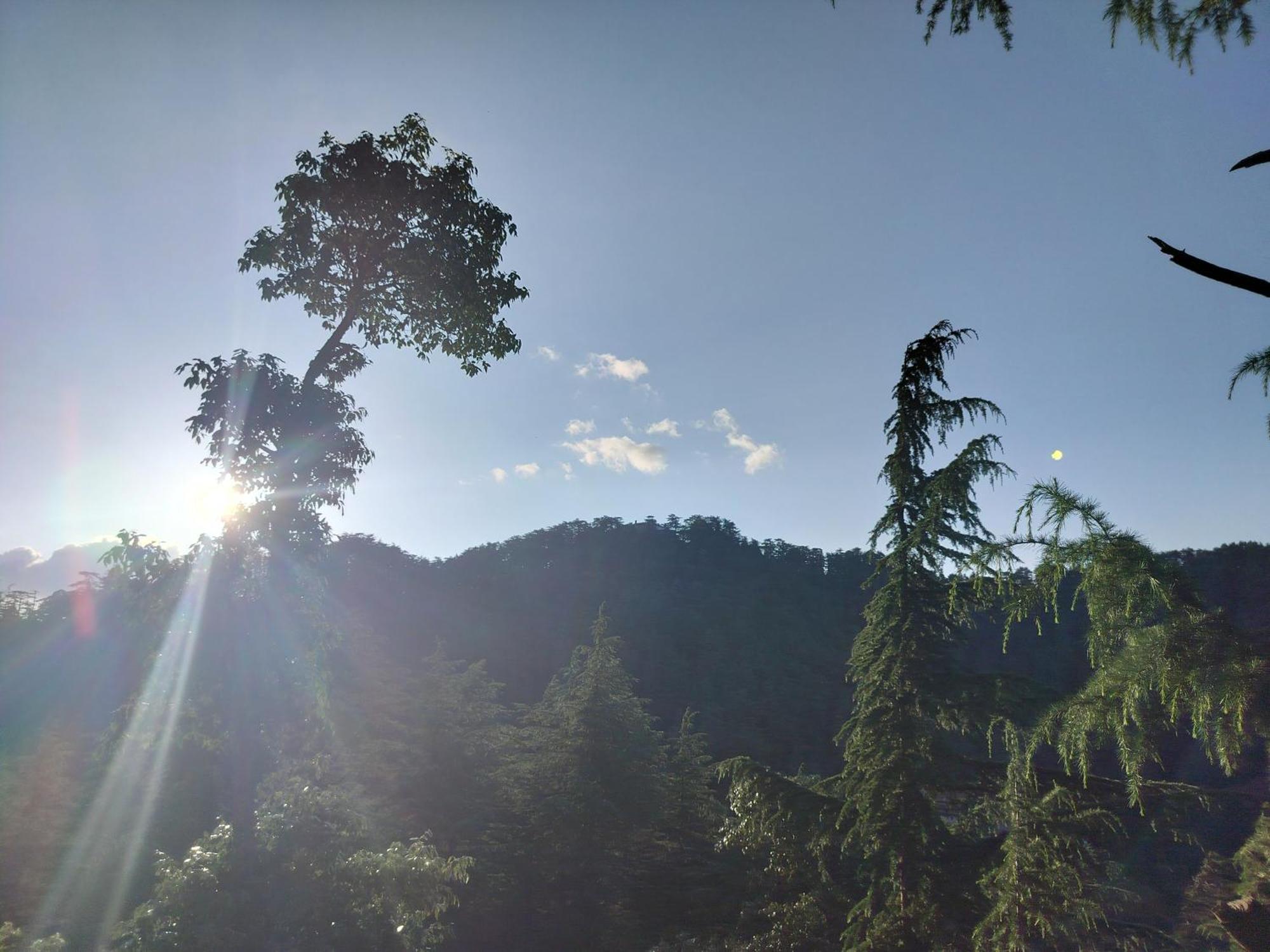 Tree Valley Homestay Chail Luaran gambar