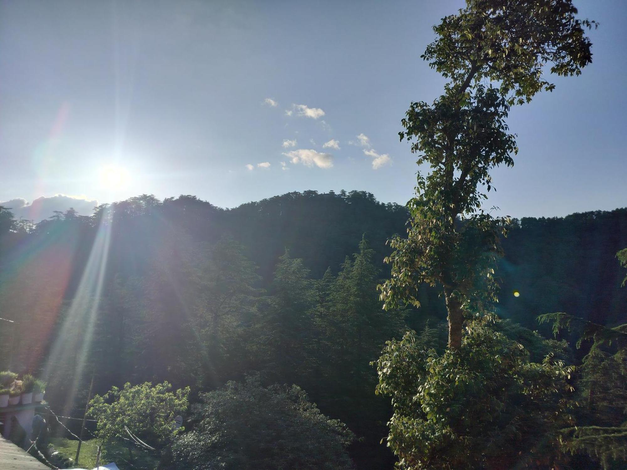 Tree Valley Homestay Chail Luaran gambar