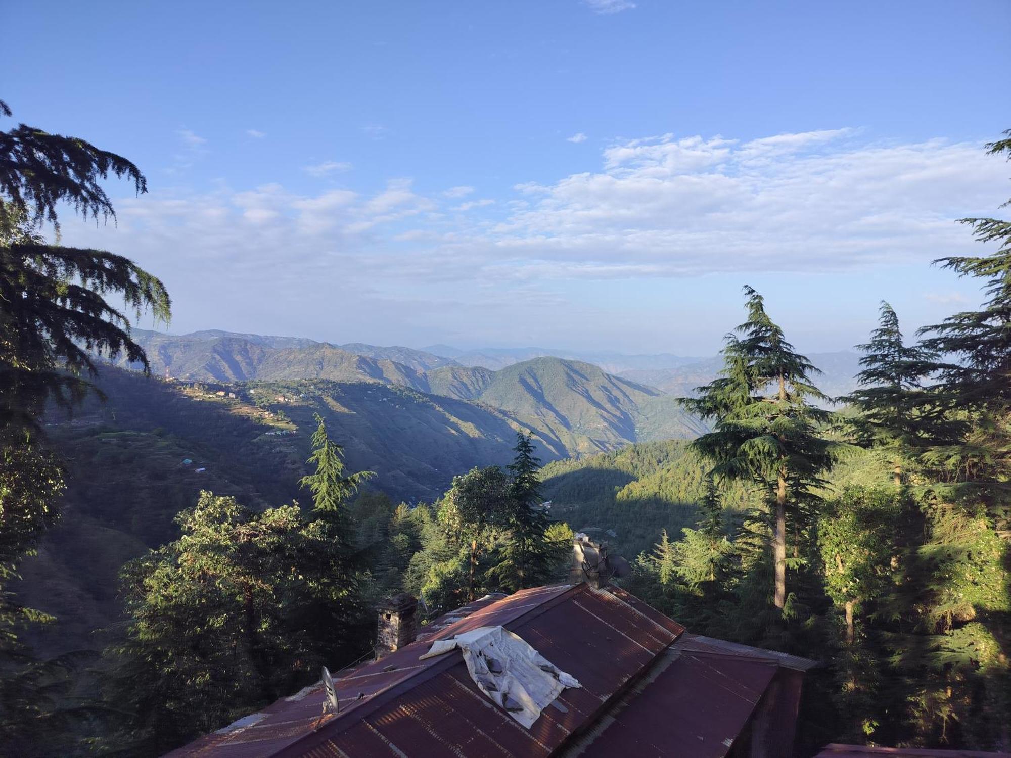Tree Valley Homestay Chail Luaran gambar