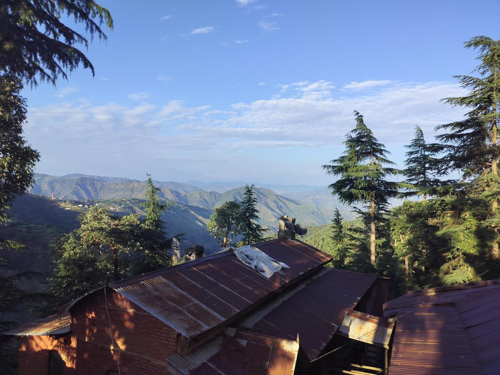 Tree Valley Homestay Chail Luaran gambar